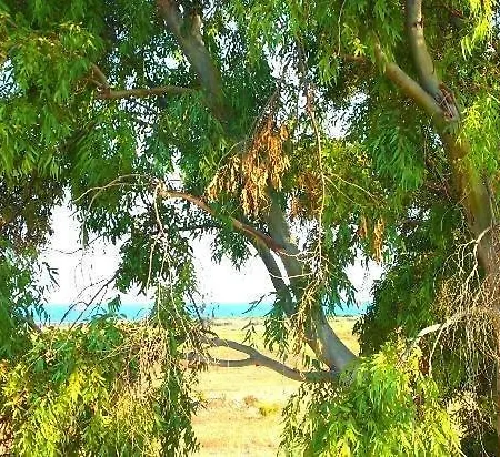 Bed & Breakfast Casa Cavarra